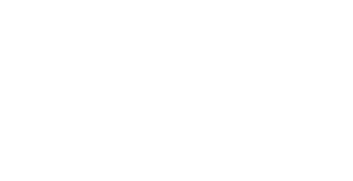 Rhino Pixel - 